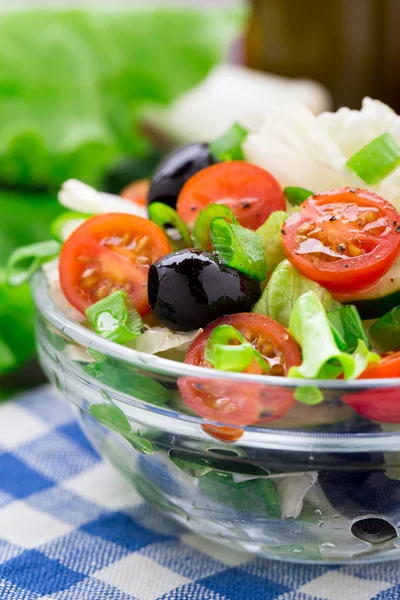 Ensalada de verduras frescas —  Fotos de Stock