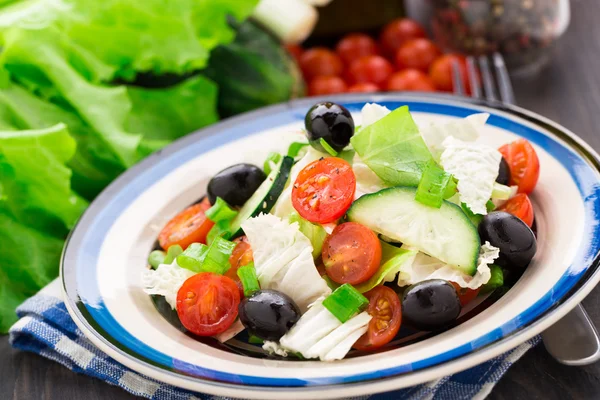 Taze sebze salatası. — Stok fotoğraf