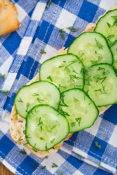 Sandwich aux légumes frais — Photo