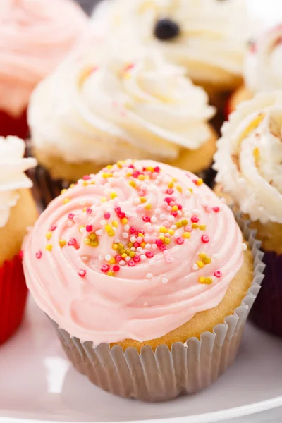 Sweet cupcakes Stock Picture