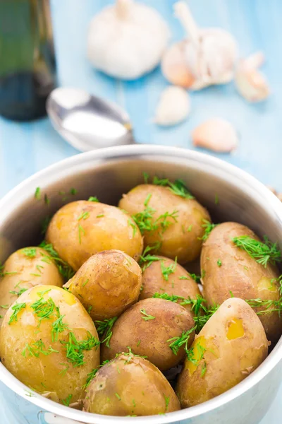 Gekookte aardappelen met verse dille — Stockfoto