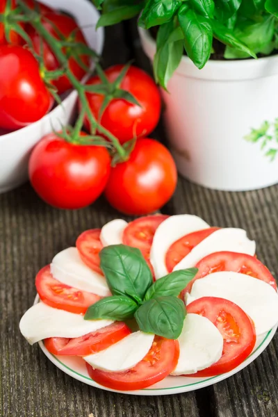 Tomater med mozzarella — Stockfoto