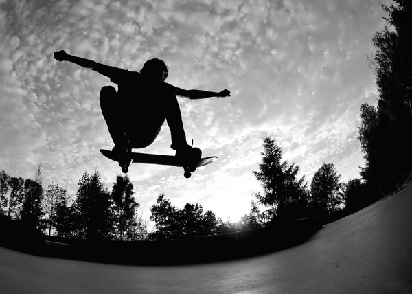 Skateboarden silhouet Rechtenvrije Stockfoto's