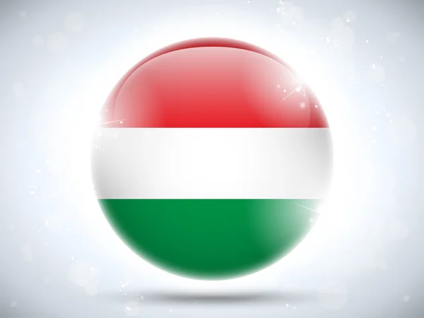 Hungary Flag Glossy Button — Stock Vector