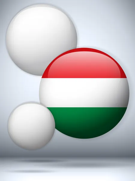 Macaristan bayrağı parlak düğme — Stok Vektör