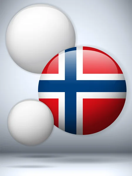 Bandera de Noruega botón brillante — Vector de stock