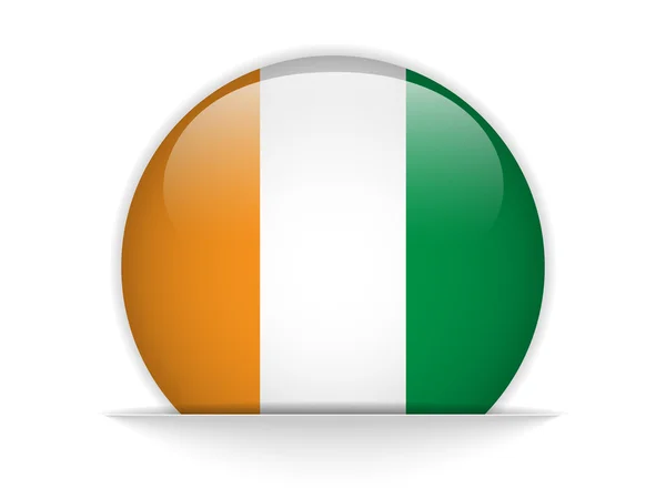 Bandera de Irlanda botón brillante — Vector de stock