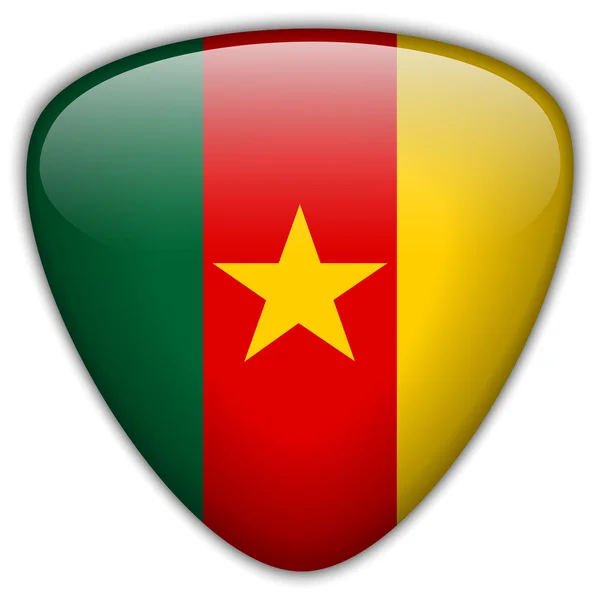 Cameroun Drapeau bouton brillant — Image vectorielle