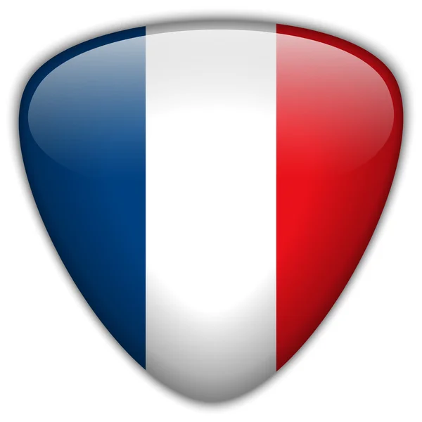 France Drapeau bouton brillant — Image vectorielle