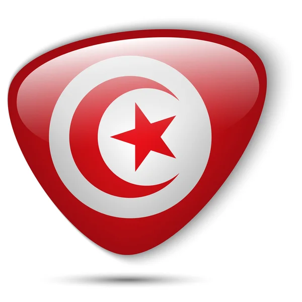 Tunísia Bandeira botão brilhante — Vetor de Stock