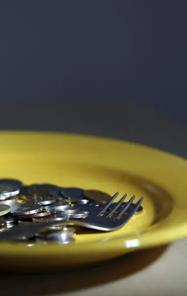 Pièces en euros dans une assiette — Photo