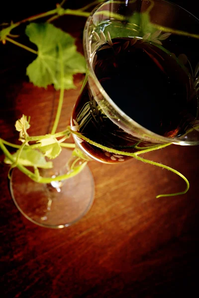 Red wine — Stock Photo, Image