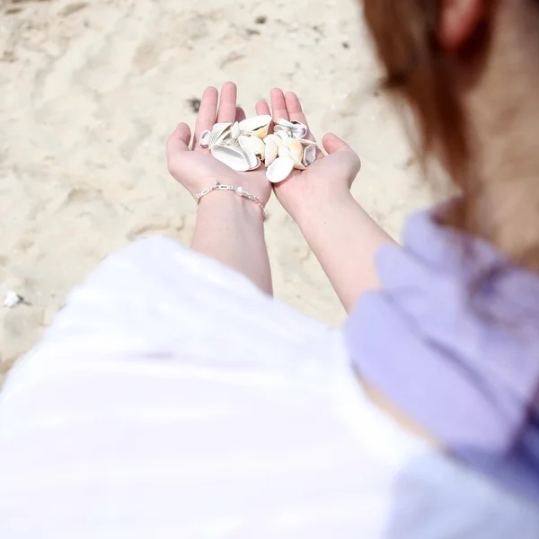 Scallop — Stock Photo, Image