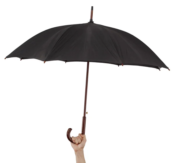 Большой зонтик — стоковое фото
