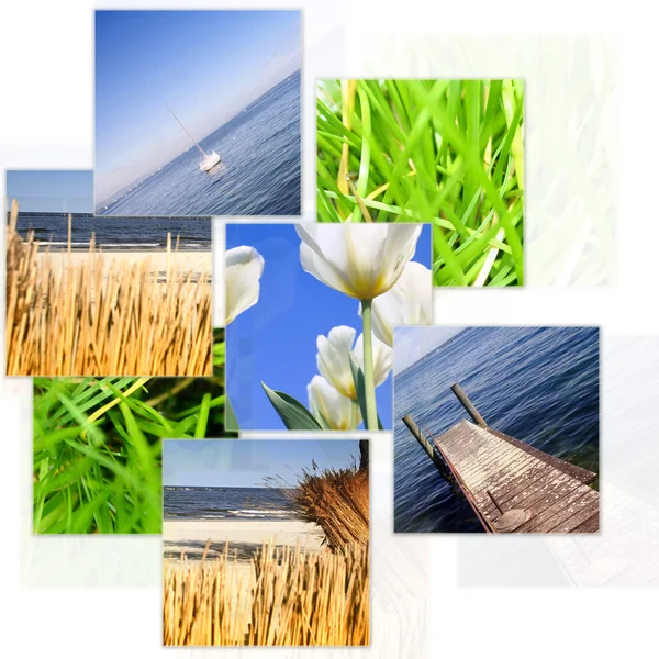 Natuur collage. — Stockfoto