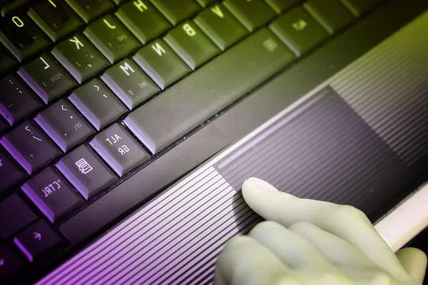 Working at laptop . — Stock Photo, Image