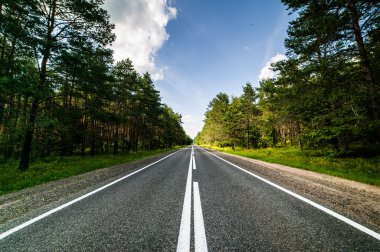 Ormanda yol