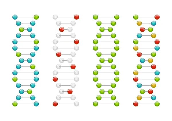 Moléculas de ADN —  Vetores de Stock