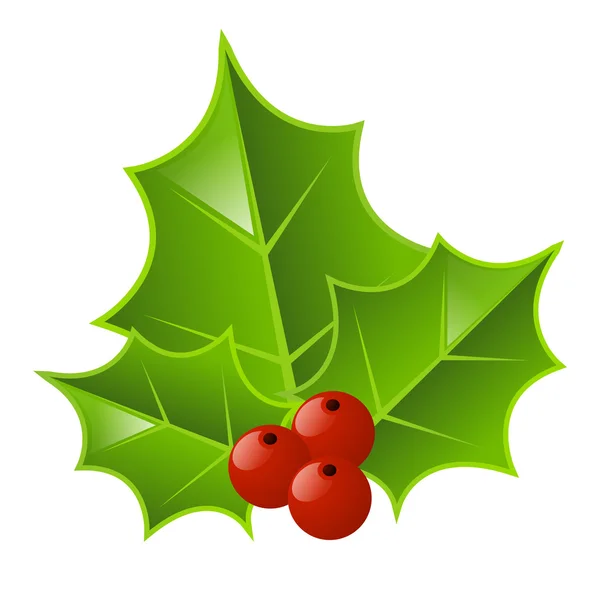 Natale Holly — Vettoriale Stock