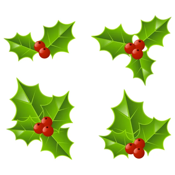 Set van Kerstmis holly pictogrammen — Stockvector