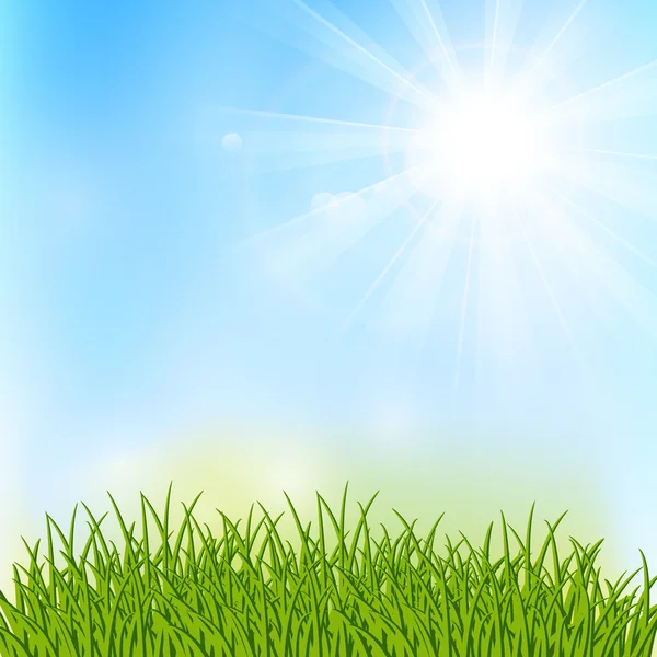 春の日当たりの良い牧草地 — ストックベクタ