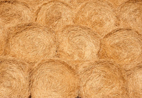 Harvest texture: stacks of wheat — Stock Photo, Image