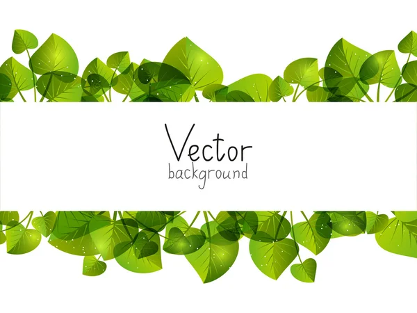 Green leaves background with place for text — Stock Vector