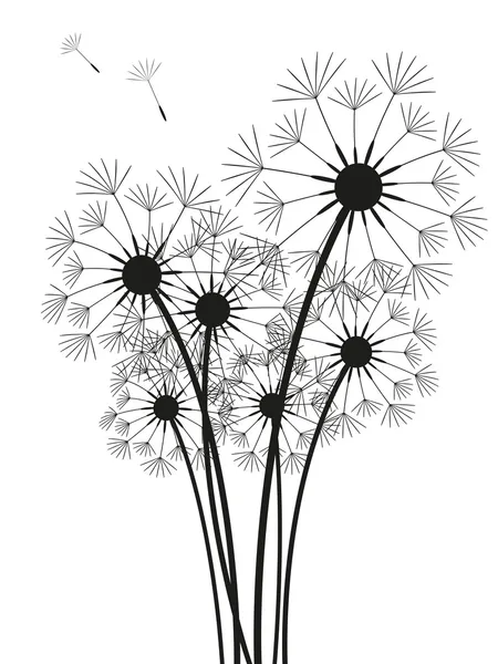 Dandelions — Stock Vector