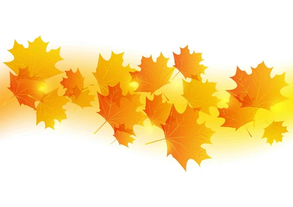 Autumn maple leaves - vector background — Stock Vector