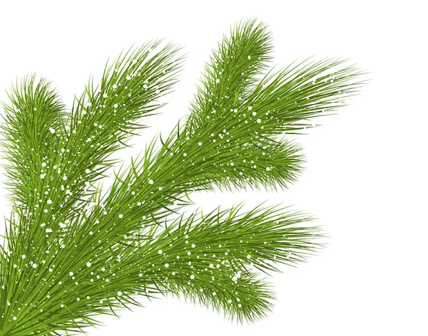Κλάδος χριστουγεννιάτικου δένδρου — Διανυσματικό Αρχείο