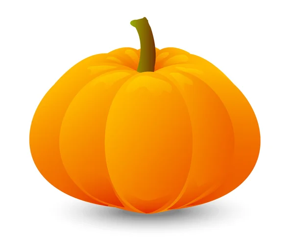 Bright orange pumpkin on white — Stock Vector