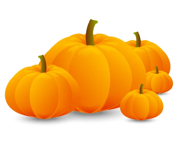 Bright orange pumpkins — Stock Vector