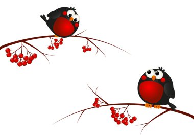 rowan dal şirin bullfinches