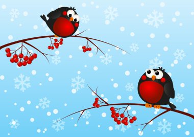 şirin bullfinches