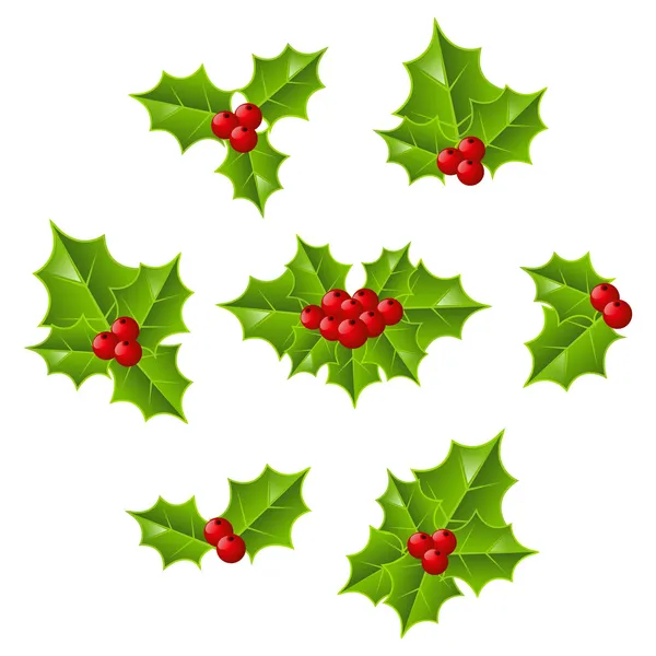 Hojas de acebo de Navidad — Vector de stock