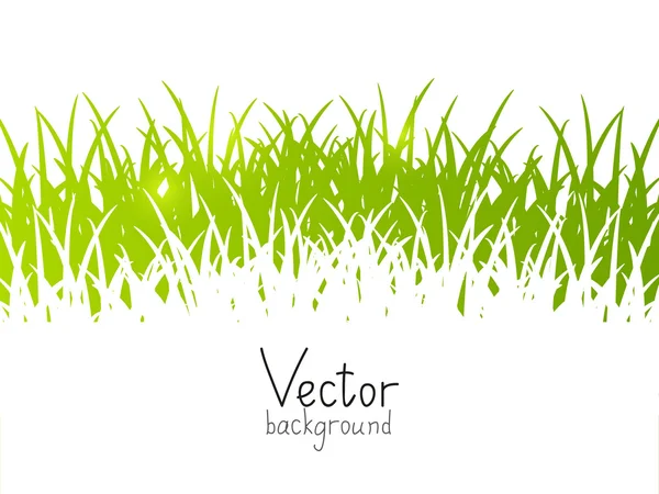 Spring background with place for Your text — Stock Vector