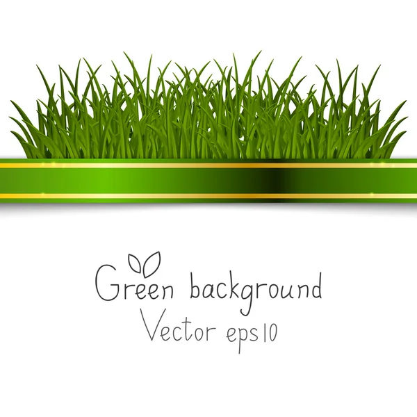 Green background — Stock Vector