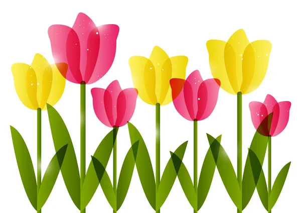 Tulipanes rosados y amarillos — Vector de stock