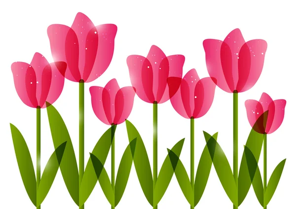 Roze tulpen — Stockvector