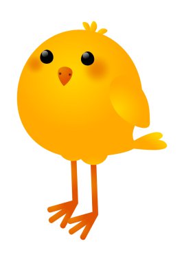 sevimli küçük tavuk