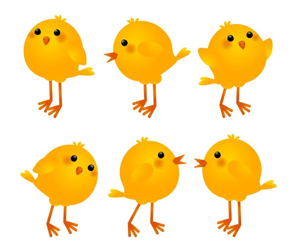 Petits poulets mignons — Image vectorielle
