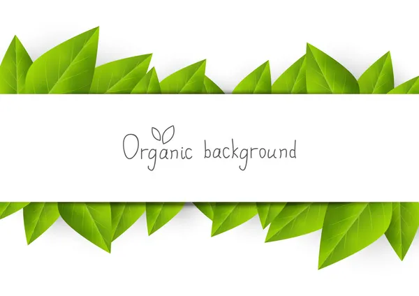 Organic background with green leaves — Stock Vector