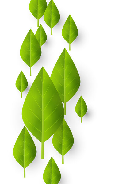 Organic background with green leaves