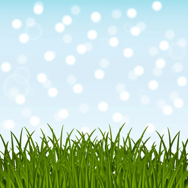 Green grass on blue sky background — Stock Vector