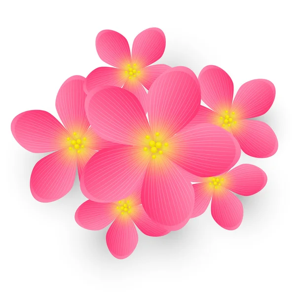 粉色的花 — 图库矢量图片