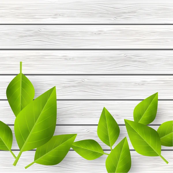 Зеленые листья на деревянном фоне — стоковый вектор