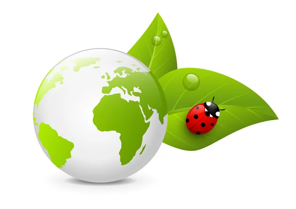 Earth globe with green leaves — Stock Vector