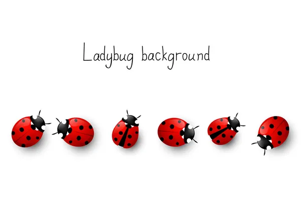 Ladybug border — Stock Vector