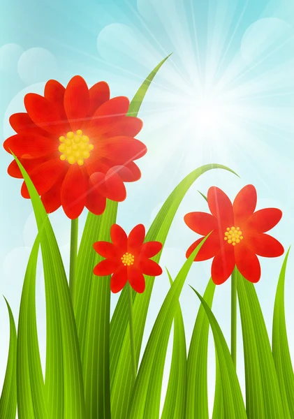 Red flowers on blue sky — Stock Vector