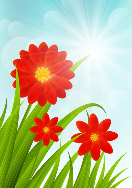 Red flowers on blue sky — Stock Vector